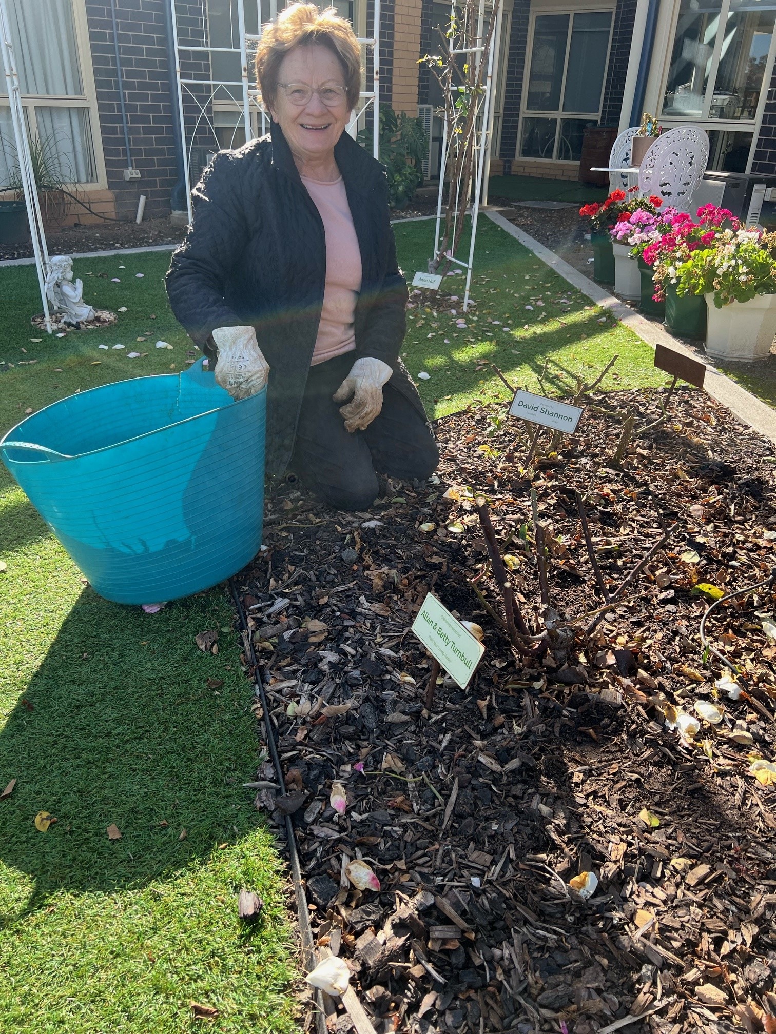 Hopetoun rose garden pruning