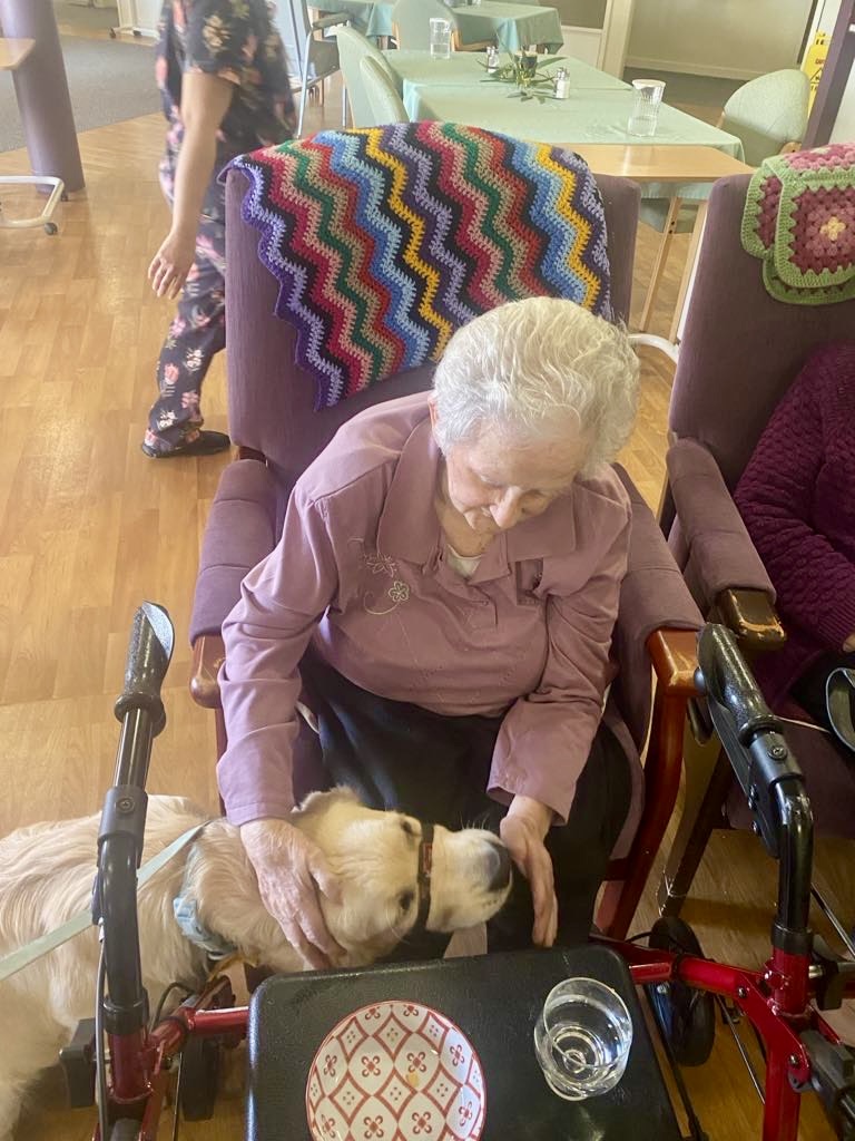 Hopetoun therapy dog visit