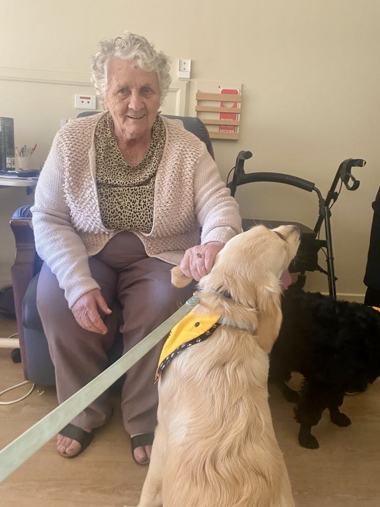 Hopetoun therapy dog visit