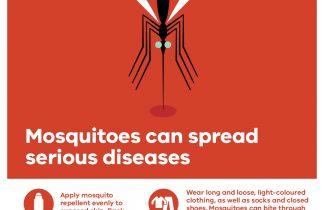 Mozzies Spread diseases