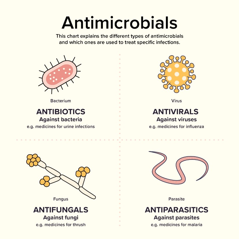 AMR what are antimicrobials