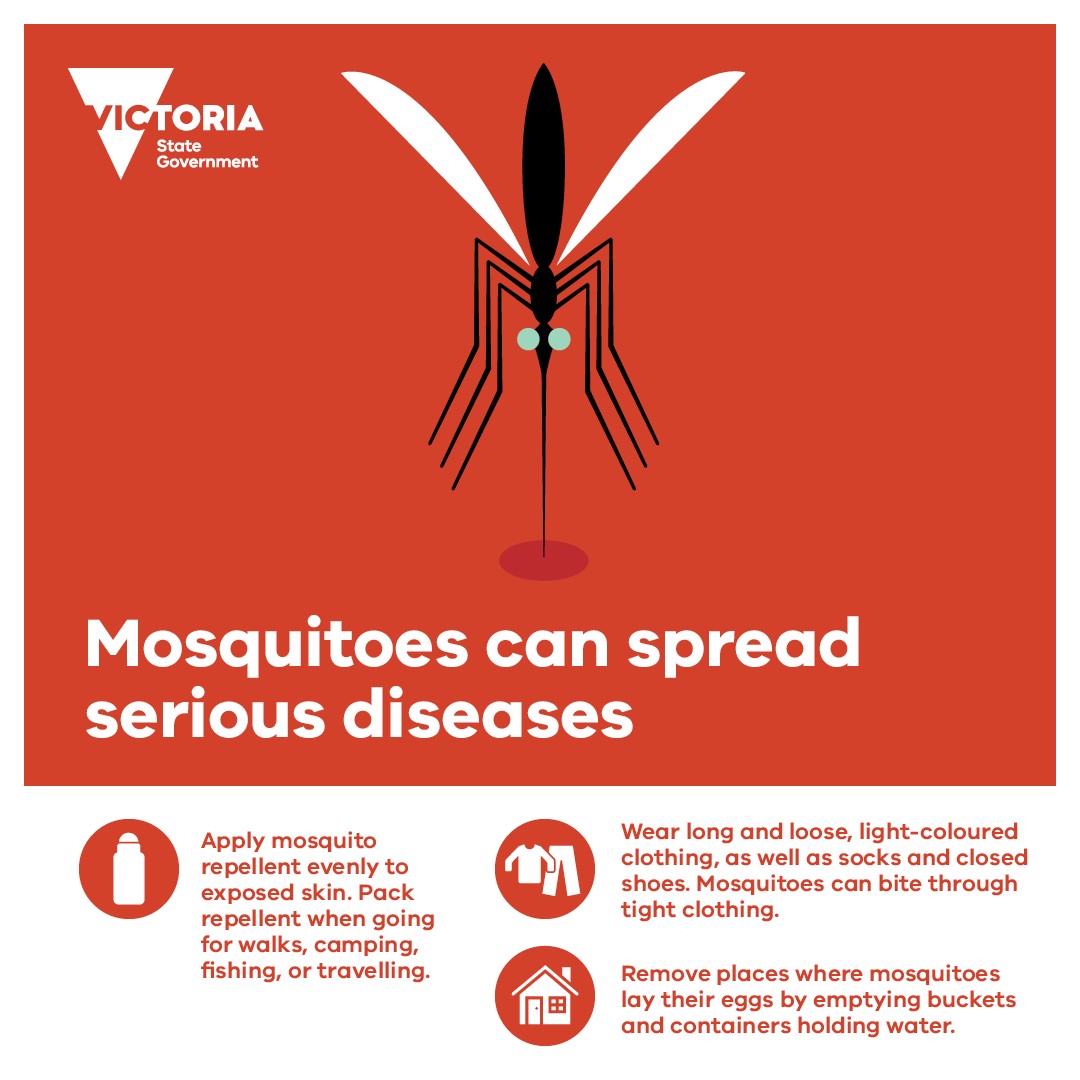 Mozzies Spread diseases