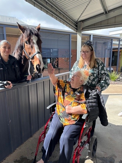 Melbourne Cup tour