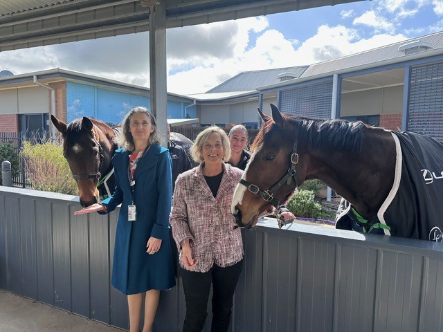 Melbourne Cup tour
