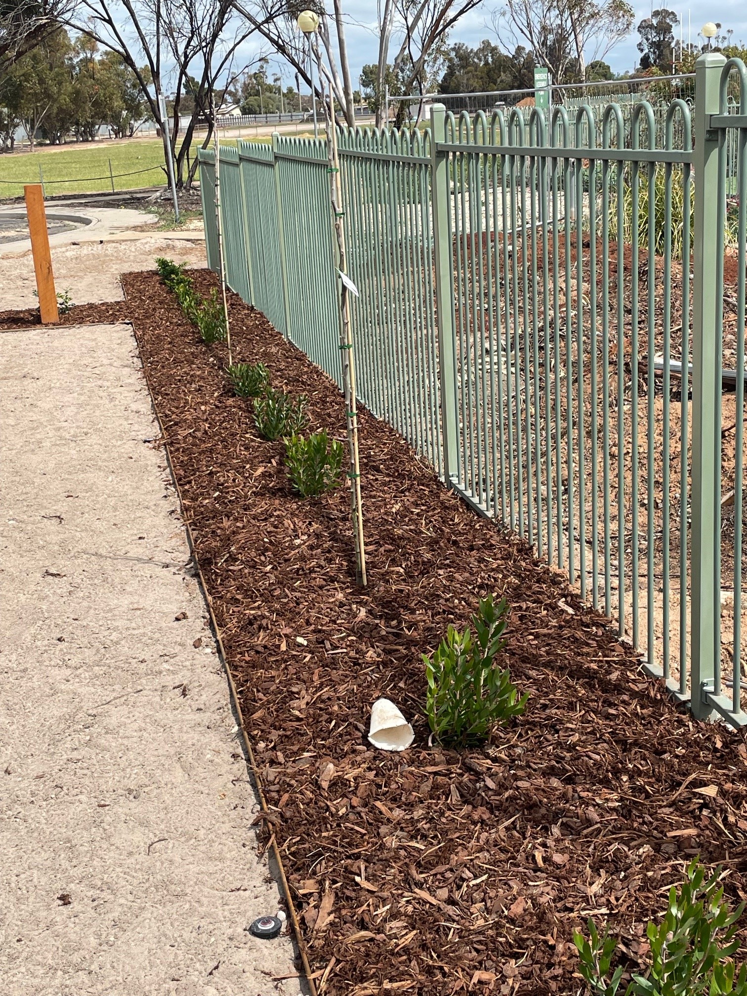 Duplex landscaping